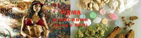 трава Аркадак